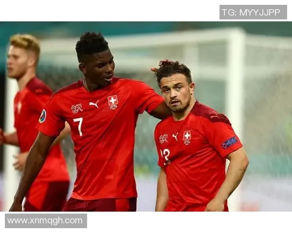 奥地利与俄罗斯精彩对决直播全程回顾与分析