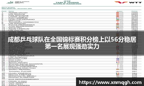 多多28首页