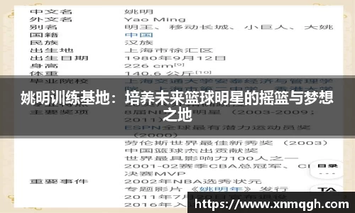 多多28首页