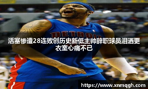 多多28官网